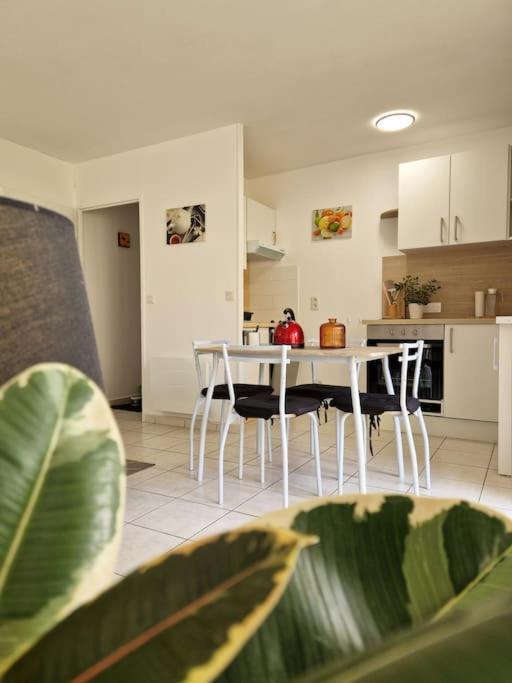 Appartement Votre Cocon Avec Baignoire Et Wifi A 15 Min A Pied Du Centre D'amiens